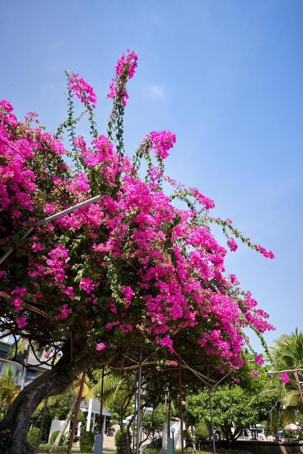 Silversand Villa Hotel หาดจอมเทียน ภายนอก รูปภาพ